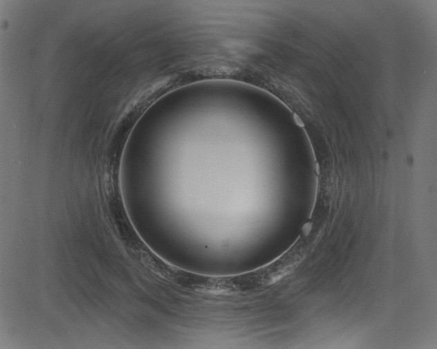 X0000082960743200702011307