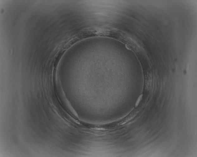 X0000082960748200702011307