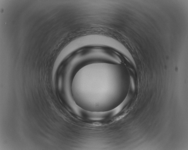 X0000082960750200702011307