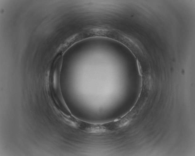 X0000082960752200702011307