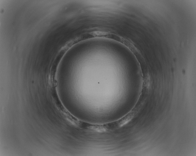 X0000082960763200702011307