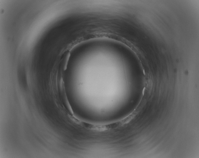 X0000082960767200702011307