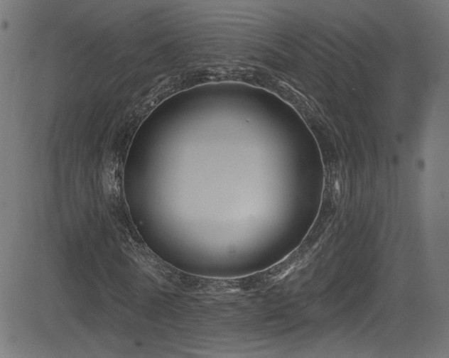 X0000082960770200702011306