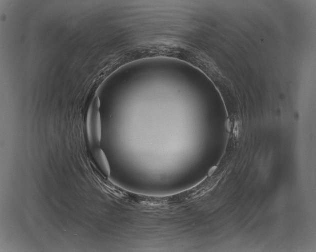 X0000082960771200702011306