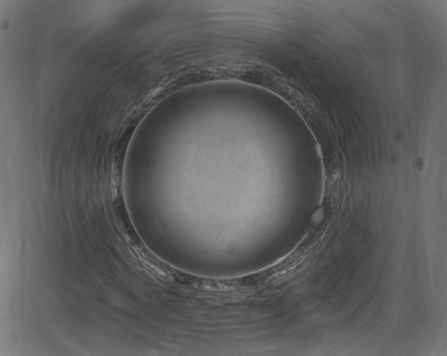 X0000082960772200702011306