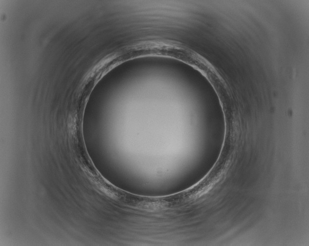 X0000082960778200702011306