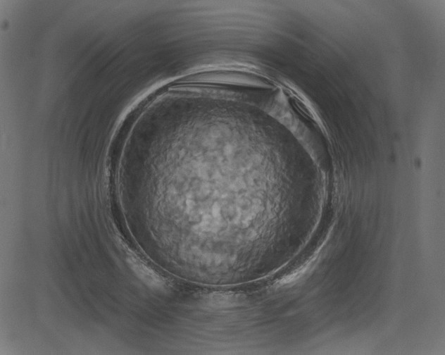 X0000082960779200702011306