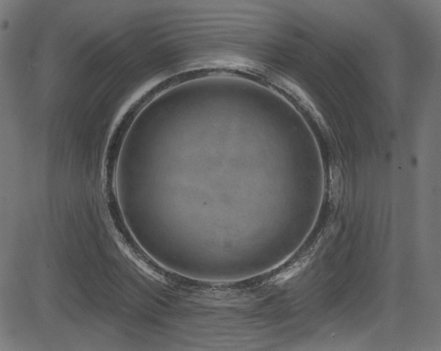 X0000082960780200702011306