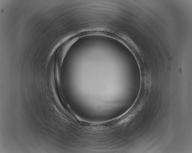 X0000082960781200702011306