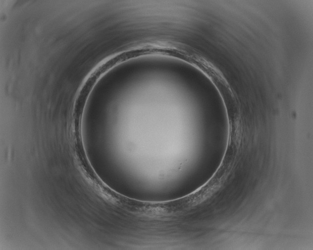 X0000082960784200702011306