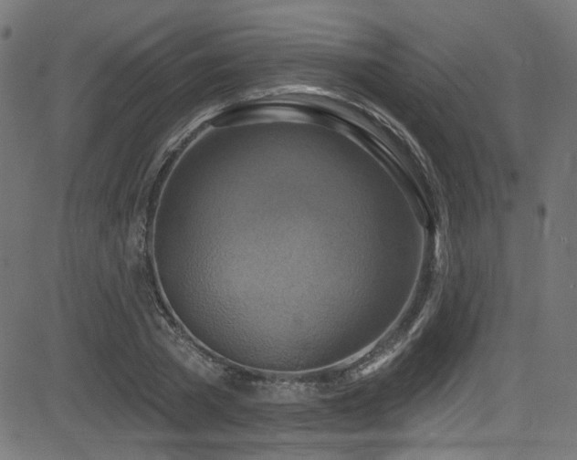 X0000082960785200702011306