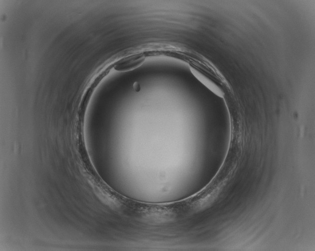 X0000082960786200702011306