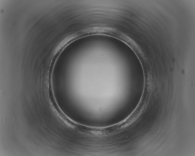 X0000082960794200702011306