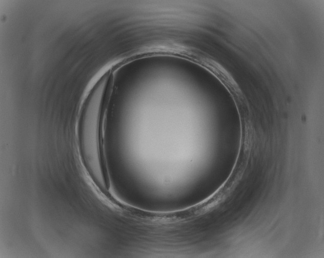 X0000082960796200702011306