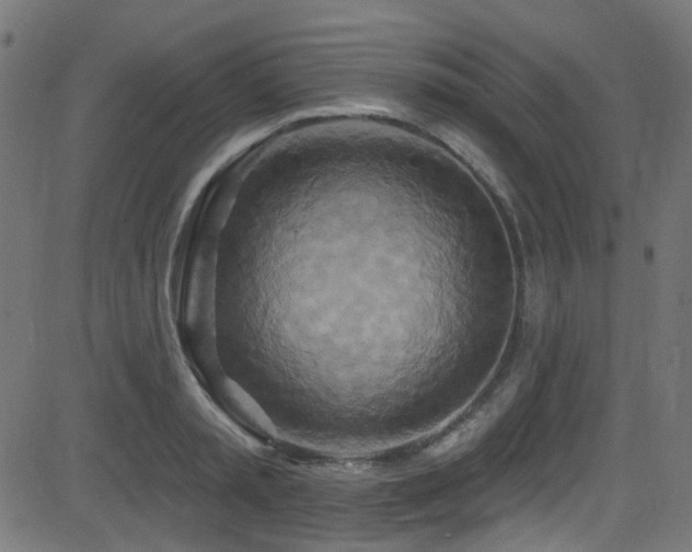 X0000082960797200702011306