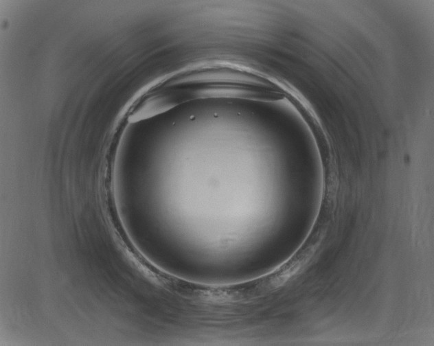 X0000082960799200702011306