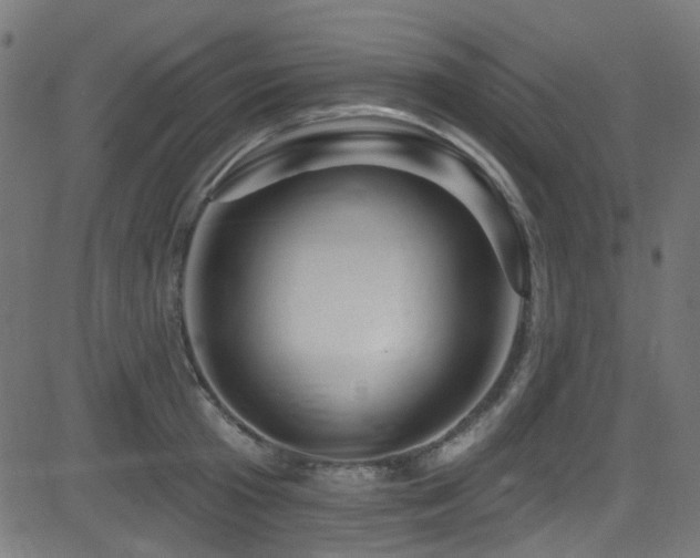 X0000082960801200702011306