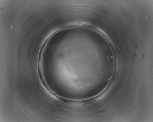 X0000082960802200702011306