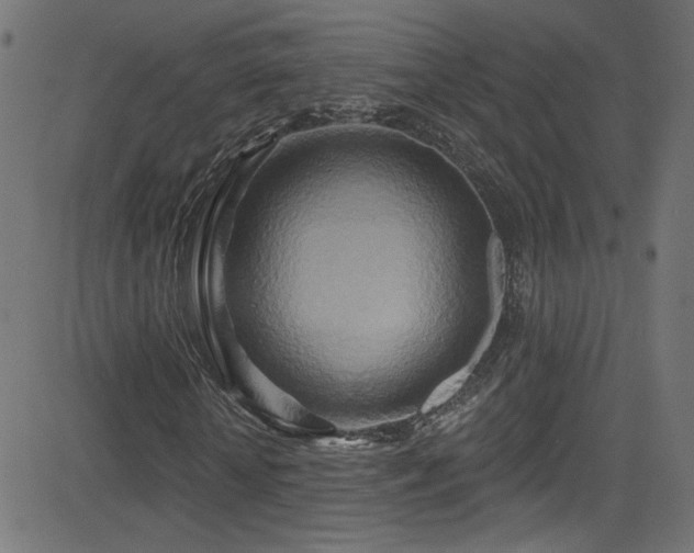 X0000082960818200702011305