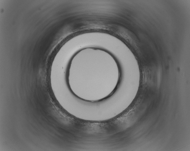 X0000082960828200702011305