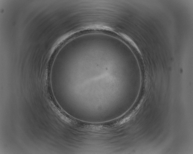 X0000082960831200702011305