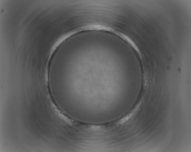 X0000082960839200702011305