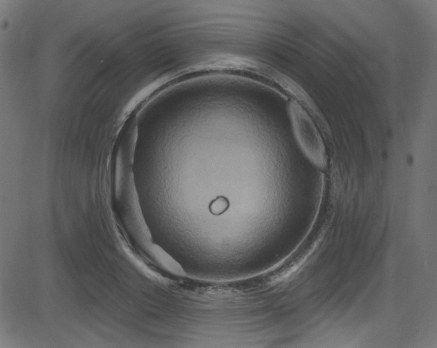 X0000082960842200702011305