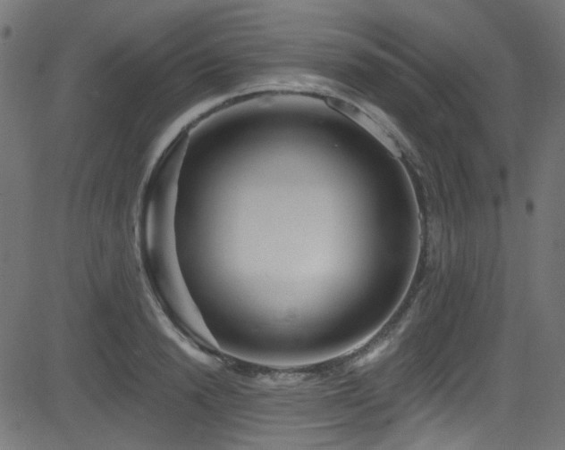 X0000082960846200702011305