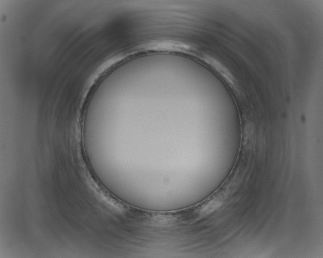 X0000082960848200702011305