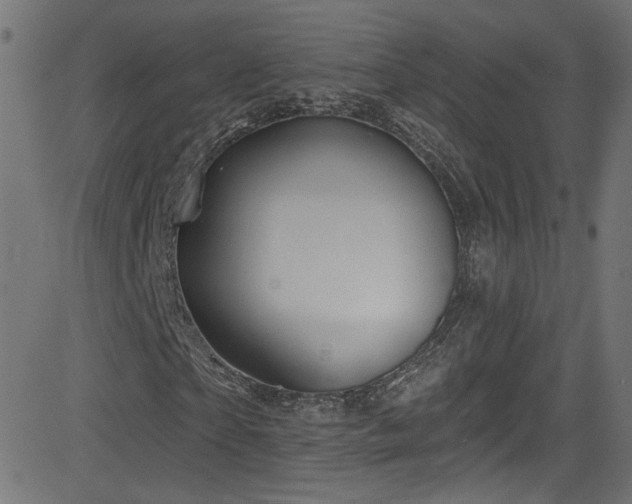 X0000082960865200702011305