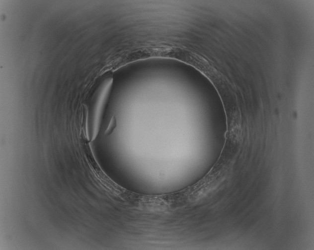 X0000082960866200702011305
