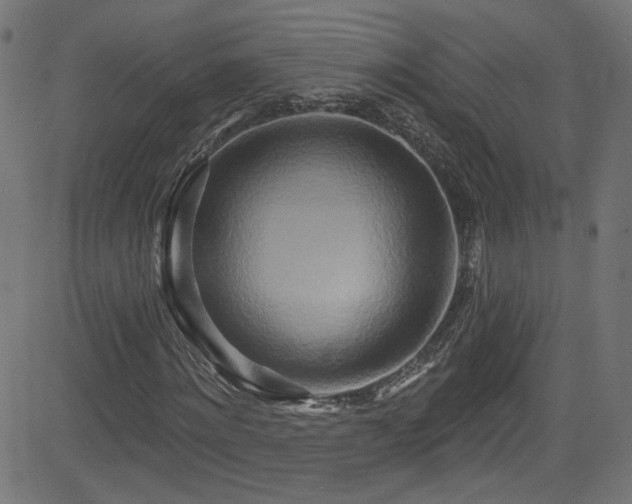 X0000082960868200702011305