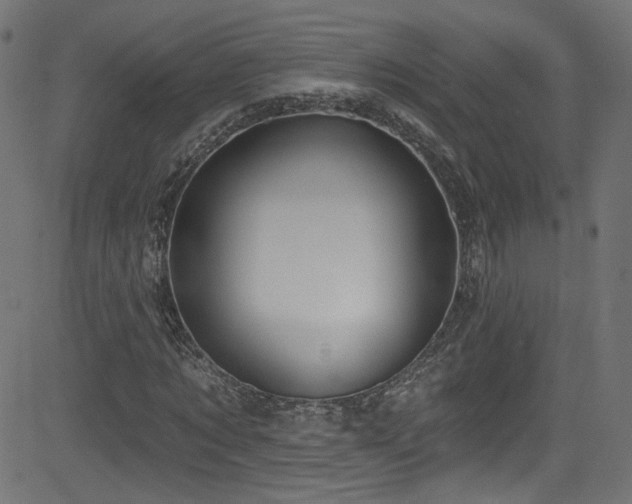 X0000082960869200702011305