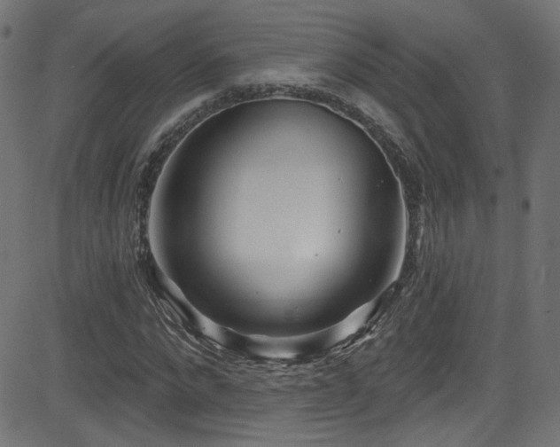 X0000082960872200702011305