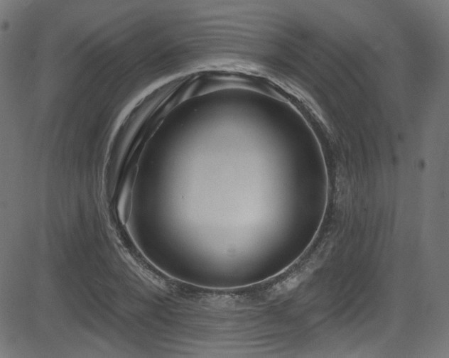X0000082960880200702011305