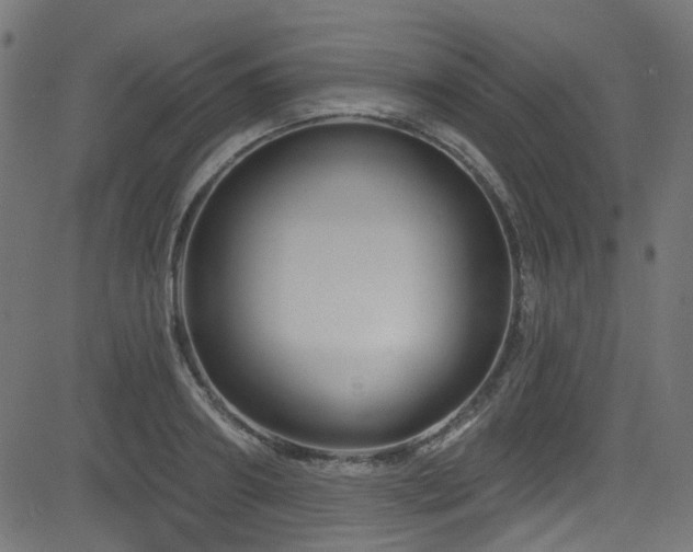 X0000082960890200702011304