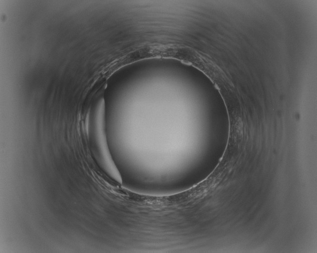 X0000082960914200702011303