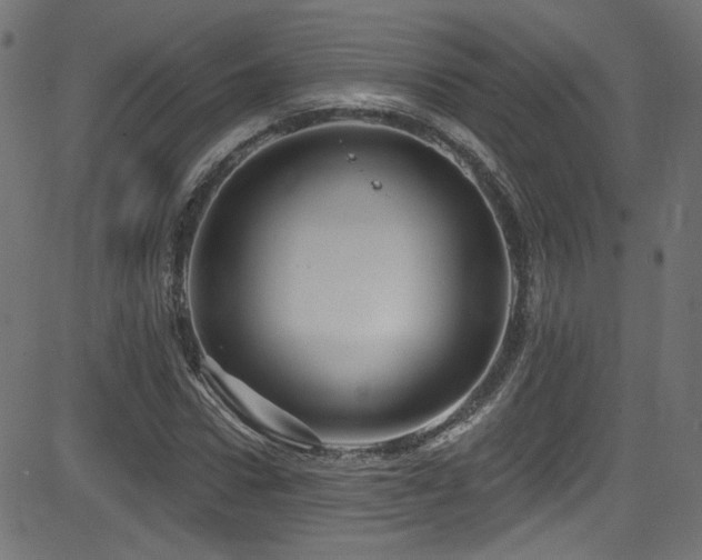 X0000082960922200702011303