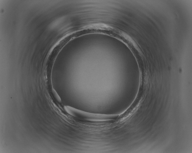 X0000082960923200702011303