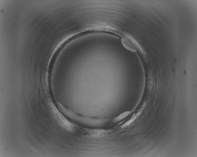 X0000082960932200702011304