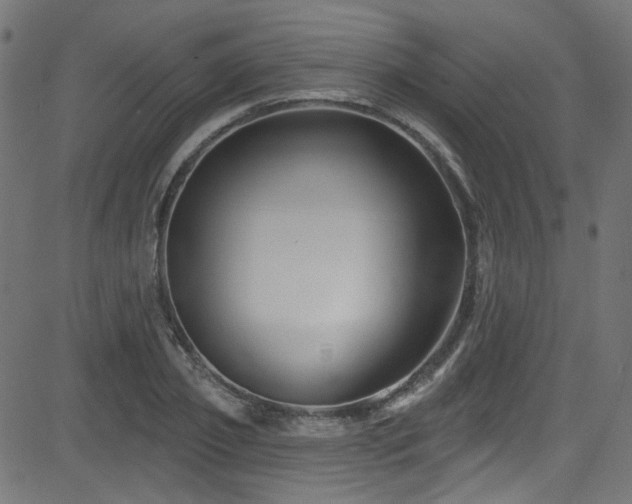 X0000082960933200702011304