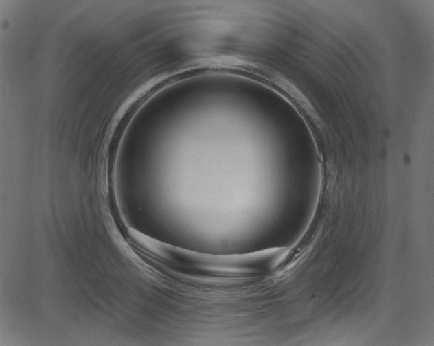 X0000082960939200702011304