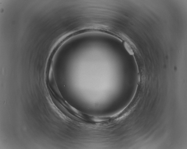 X0000082960940200702011304