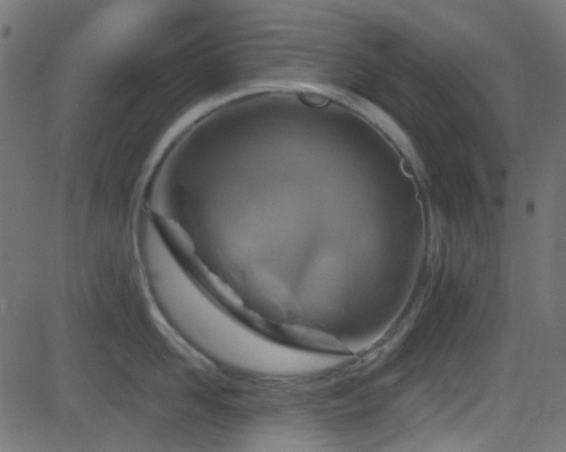 X0000082960958200702011304