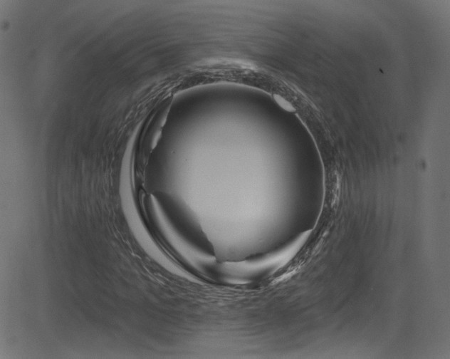 X0000082960965200702011303