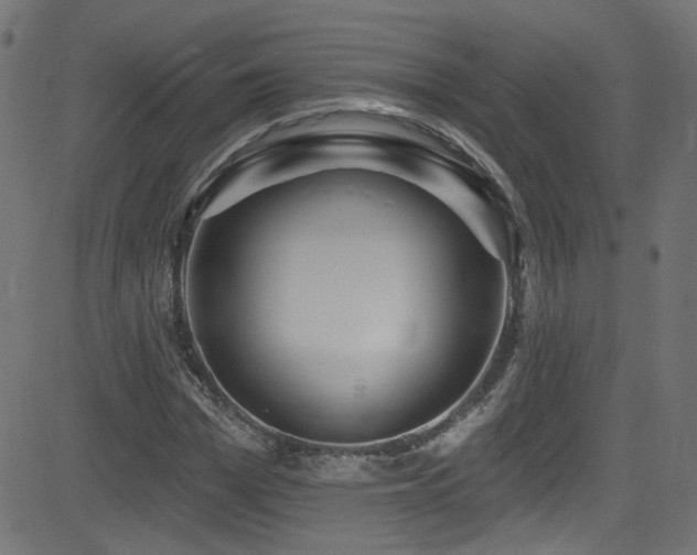 X0000082960969200702011303