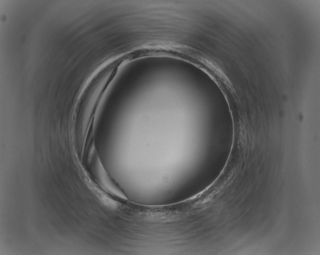 X0000082960976200702011303