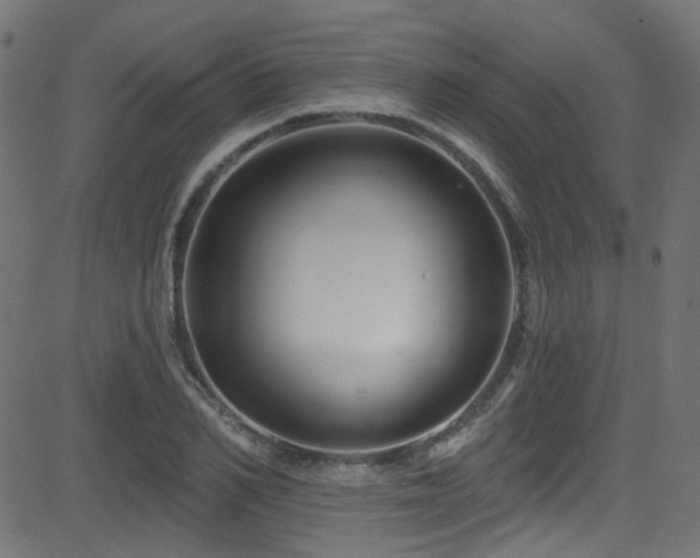 X0000082960982200702011303