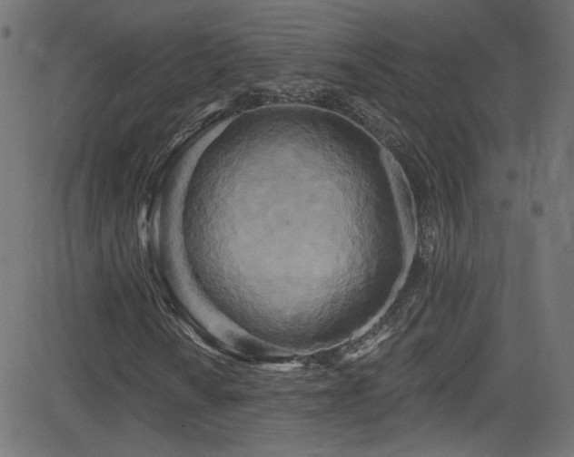 X0000082961010200702011302