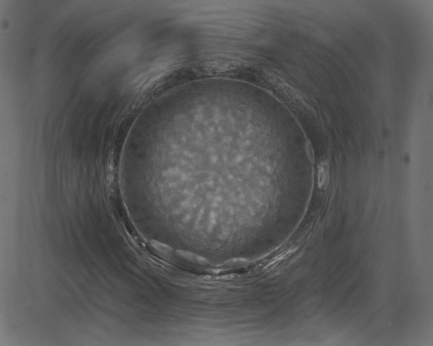 X0000082961011200702011302